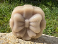 Hair Conditioner Bar - Coconut & Jasmin
